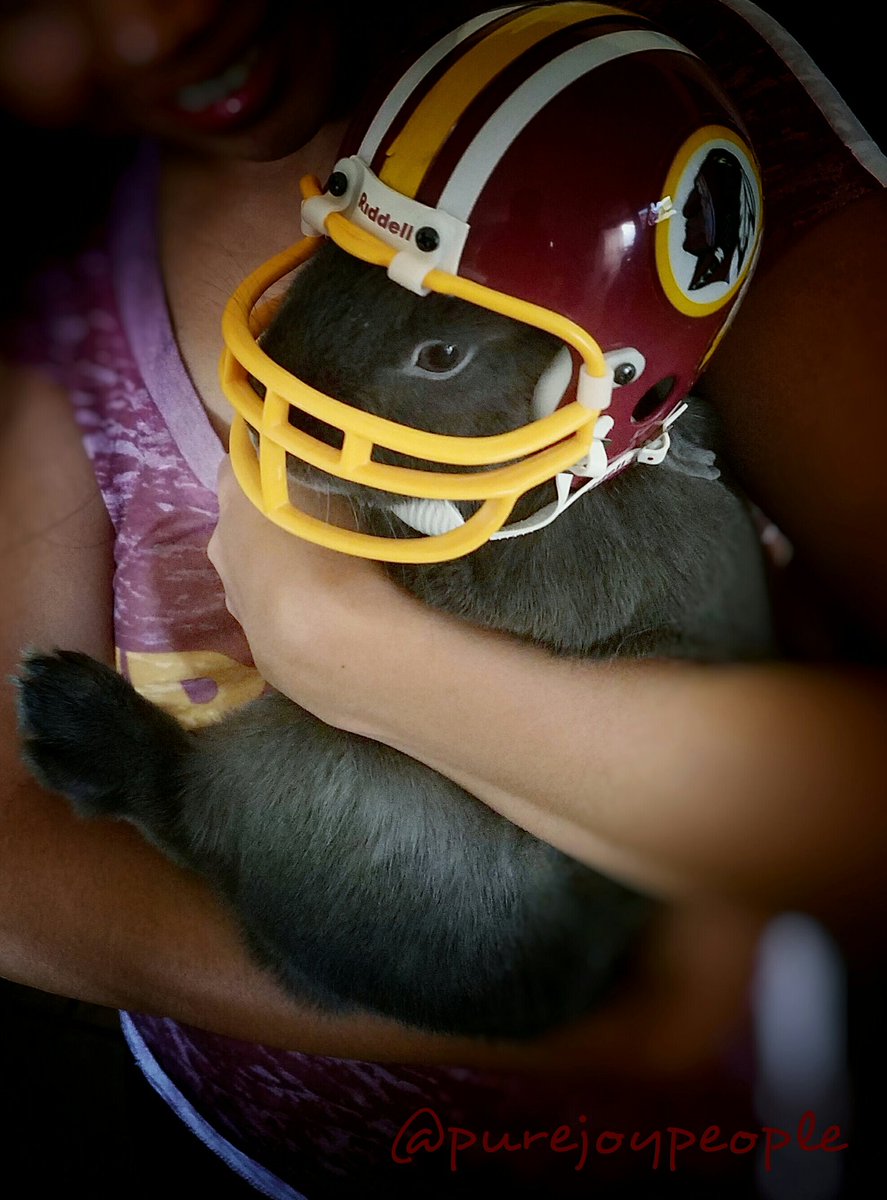 datgurljuicy's tweet photo. It's my first season! How 'bout a win, huh guys? ๐๐ฐ Let's go @Redskins #MNF #purejoypeople https://t.co/FhHaPeRFm3