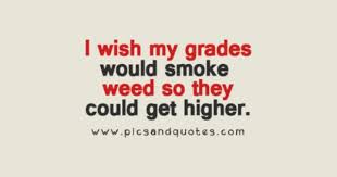 420Contact's tweet photo. https://t.co/6Al5Otdozc