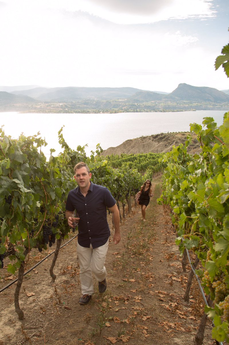 September walk through the vineyard with some friends. 
#bcwine #Naramata #explore can