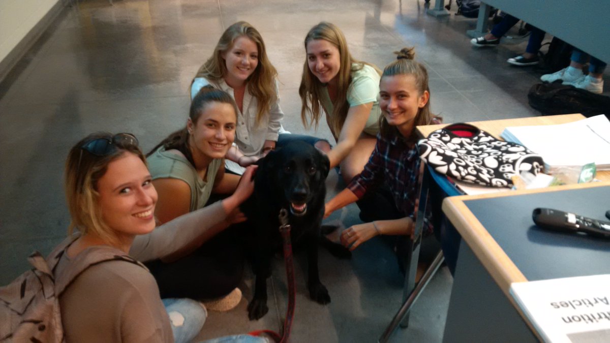 Nutrition_Rx's tweet photo. Carly's 1st day in class was a HUGE success!! @BresciaUC #LuckyDog #HappyStudents #CoolestProfEver https://t.co/GlNM3vkuTT