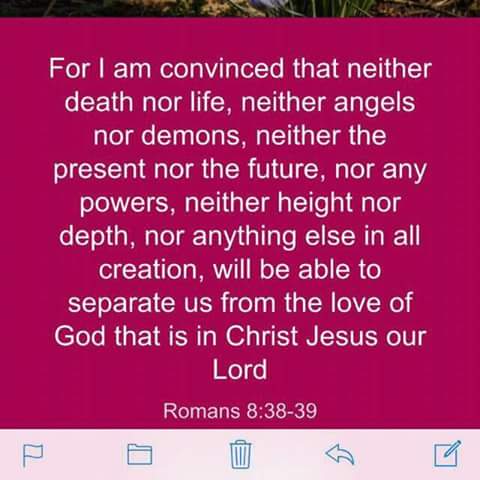 smartplugmgt's tweet image. 