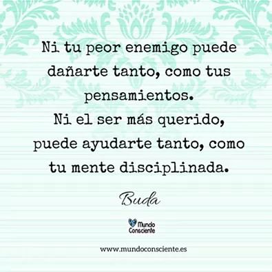 casaluzdevida's tweet photo. RT @LaReferenciaMx: RT @RoyCampos: https://t.co/CHCyzNvvxf