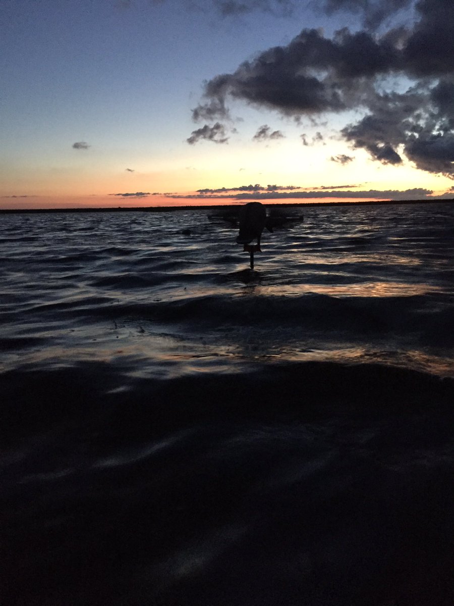 Addisonsmith32's tweet image. Huntin', fishin', and lovin' every day