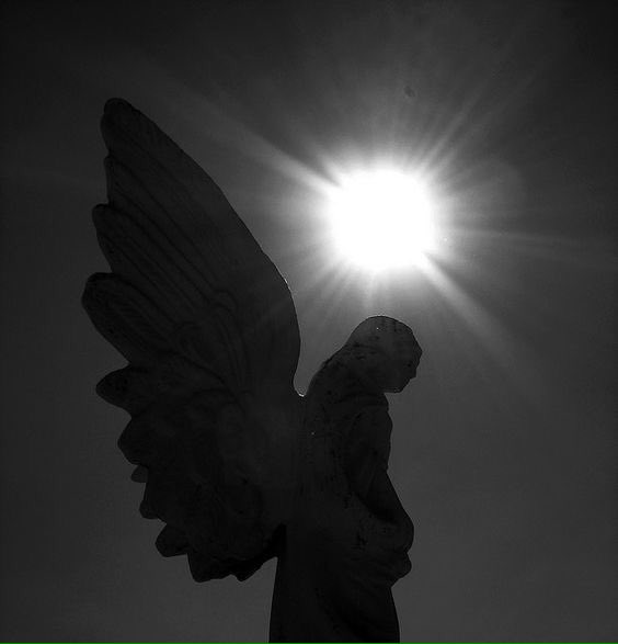 Aguascalientes's tweet photo. #SabíasQue El Panteón de la Cruz es uno los panteones más grandes en el Estado: https://t.co/ApgIFXPYqx https://t.co/kDu9l4ALFT