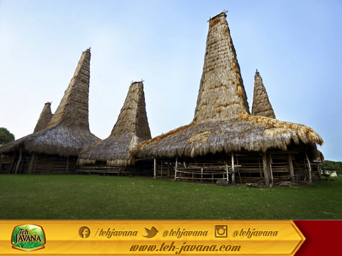 4800 Gambar Foto Rumah Adat Sumba Gratis Terbaru