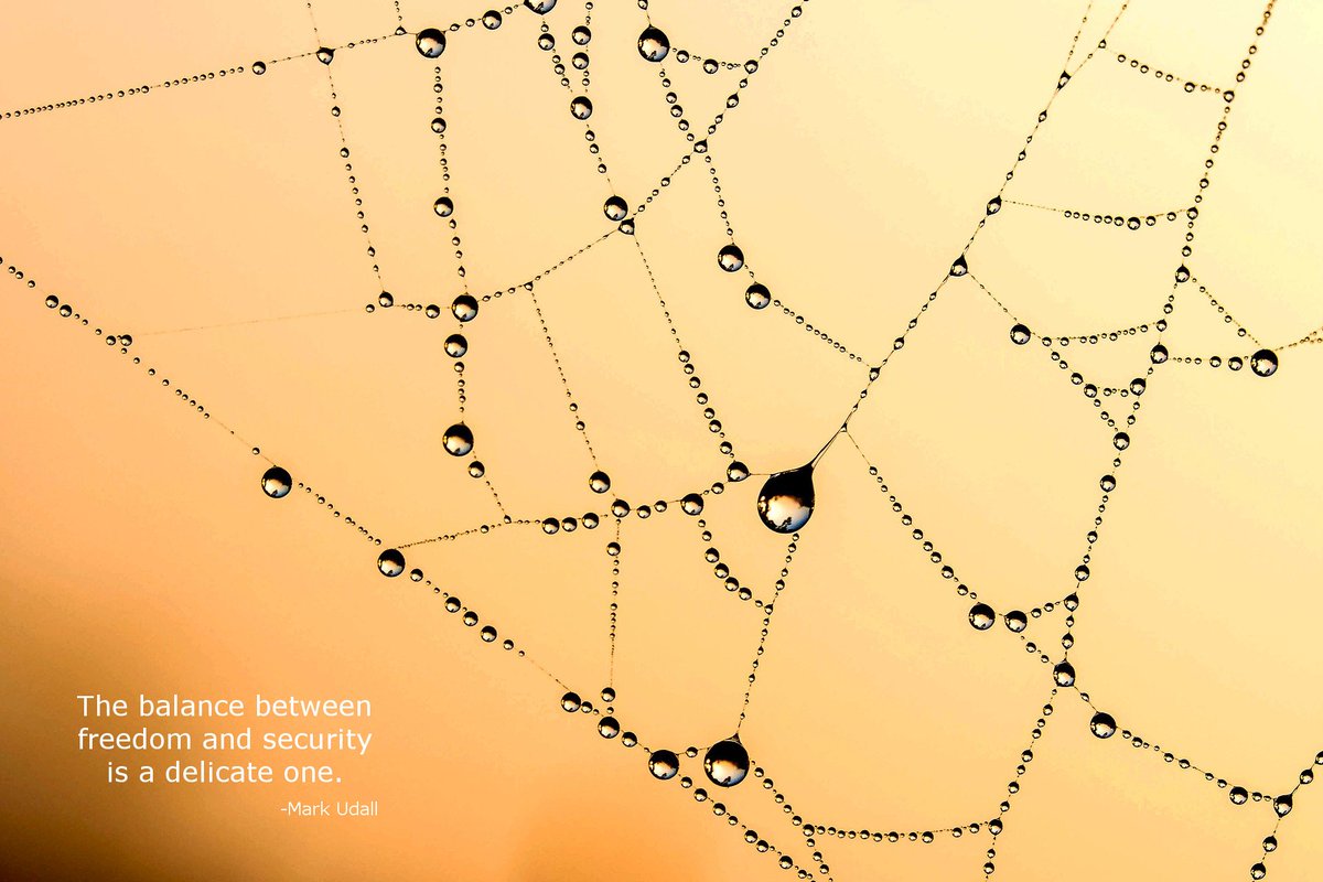 Colourpic's tweet photo. The art of delicate balancing...
#colourpic #naturephotography https://t.co/iJq6GQSPPz