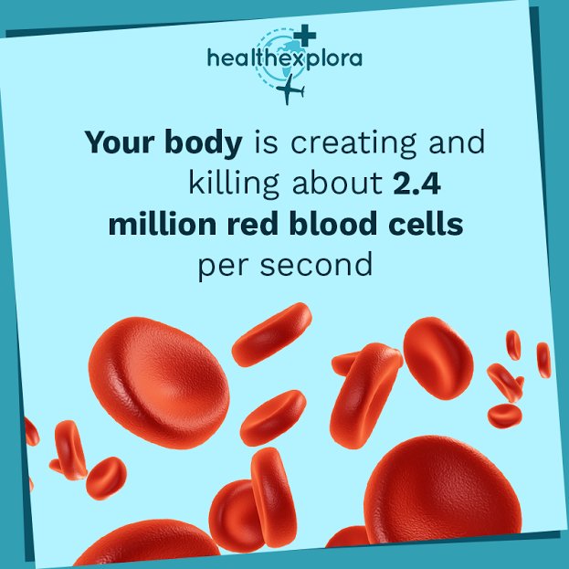 HealthExplora's tweet photo. Human body truly is the most magnificent machine of all times !
#healthexplorafacts #medicalfacts #medicaltourism https://t.co/l6Y4XQ4jeg