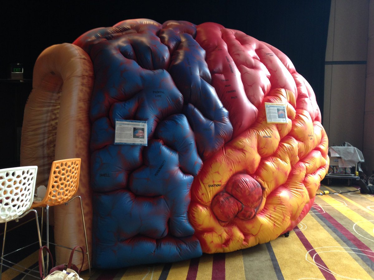 cathytav's tweet image. Visited the @WestSydHealth brainarium @APACForum brilliant