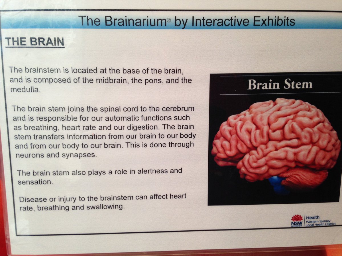 cathytav's tweet image. Visited the @WestSydHealth brainarium @APACForum brilliant