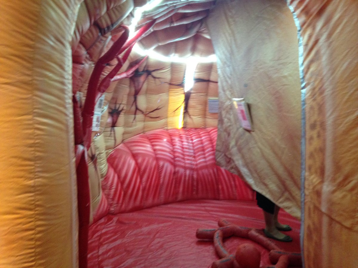 cathytav's tweet image. Visited the @WestSydHealth brainarium @APACForum brilliant