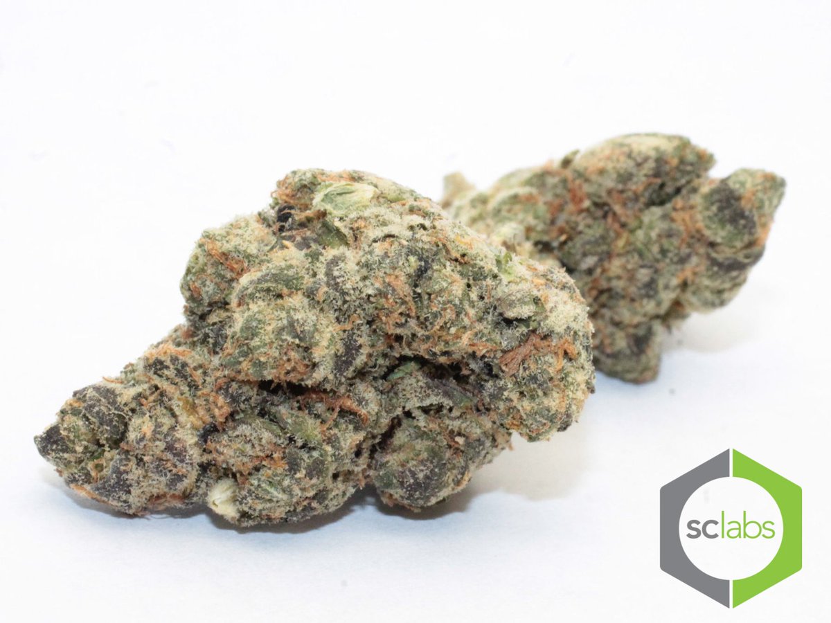 DiegoKush's tweet photo. #SundayFunday #localseshsandiego https://t.co/AcrWUVIElw Come out and get your blaze on https://t.co/OQKcUKC7Fh. https://t.co/jvBLK1hsW0