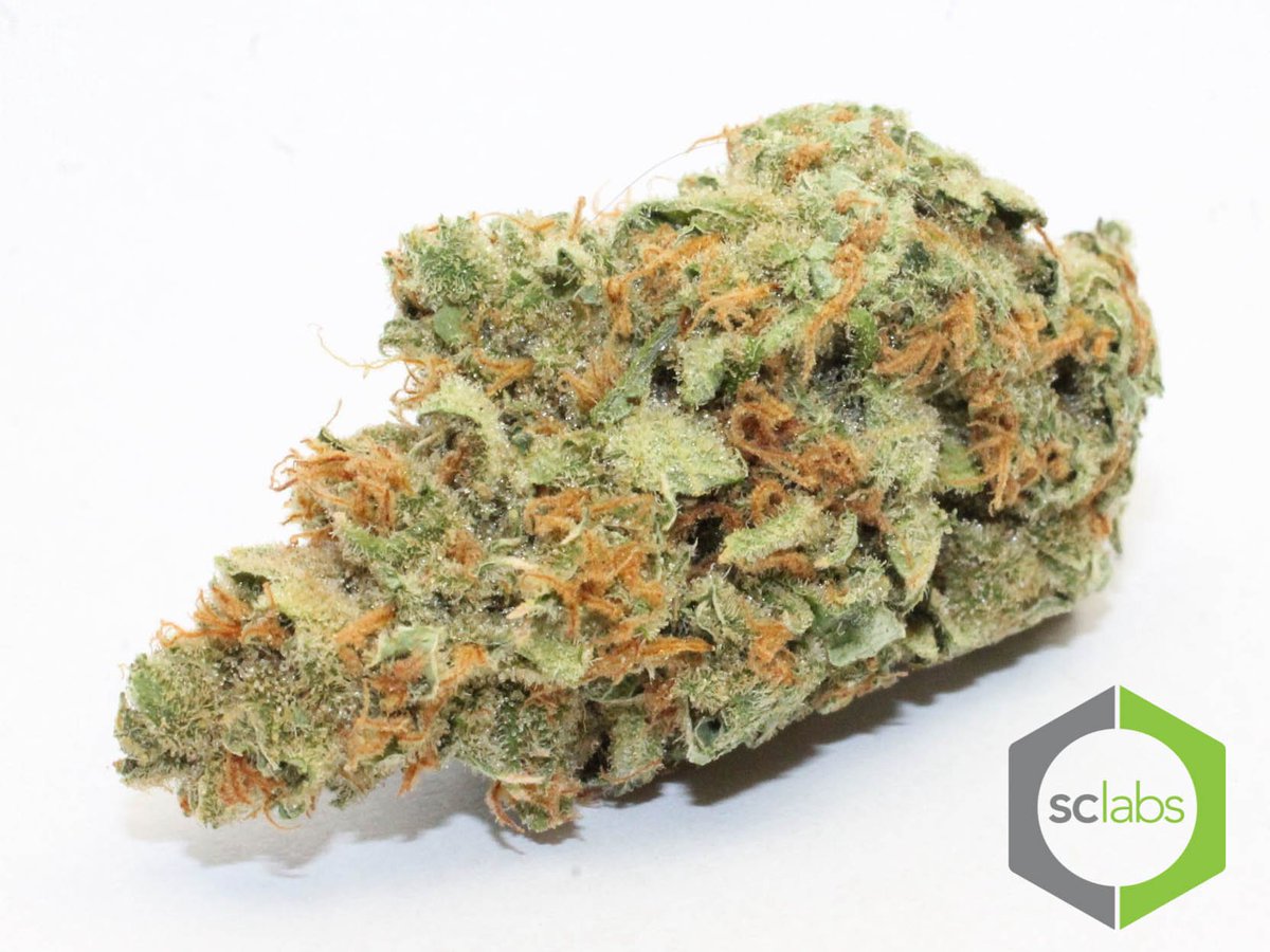 DiegoKush's tweet photo. #SundayFunday #localseshsandiego https://t.co/AcrWUVIElw Come out and get your blaze on https://t.co/OQKcUKC7Fh. https://t.co/jvBLK1hsW0