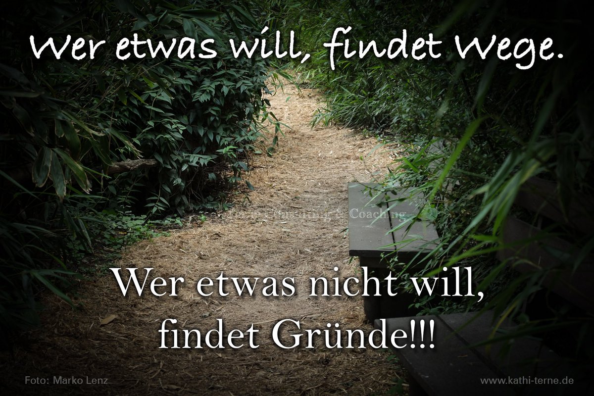 #motivation des Tages "Wege finden"
#coaching #kreativität #business #Burnout #karriere #job