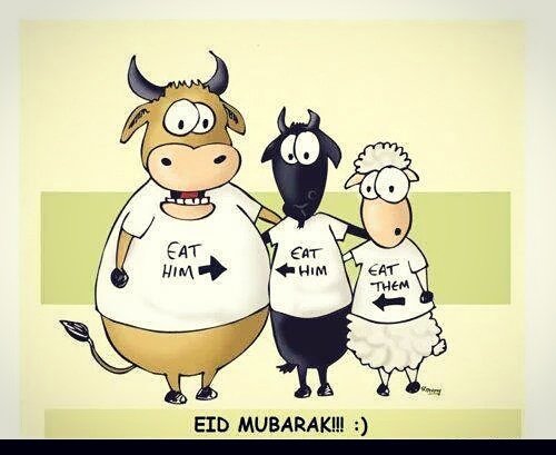 Tahsina_Hamid's tweet photo. " Eid - Ul - Adha Mubarak 🐮 🐂 🌙 . . . 
Enjoy eating a lot of foodz n hav  a blessed Eid  💞 🍴 ✨ ! ! ! " https://t.co/YQCzBOuK9j
