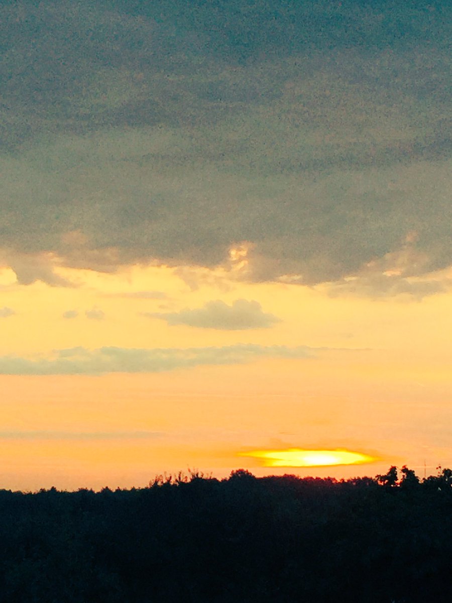 Morning world! It's going to be a lovely day! #ThinkPositiveDay