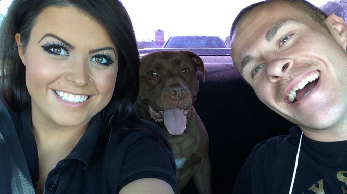 we laid Big Daddy to rest today. it's been hard but at least he's at peace and no longer in pain. RIP<a href="/tag/mvsales"class="tags"><span>#mvsales</span></a>