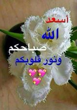 <a href="/EzzSussu/">sawsan ezzedine</a> <a href="/yfgh9988/">أنبل إحساس</a> <a href="/asdf333762/">ابوسجاد الموسوي 2</a> <a href="/Zuher120/">Zuher _ 🇮🇶</a> <a href="/38_ero/">ابو عباس خادم الحسين</a> <a href="/njoomh110/">NJOOMH</a> <a href="/WMP8MOFJlrRf6R1/">مرضات الله</a> <a href="/AhmdHamedkazm81/">AHMD KATHEM</a>