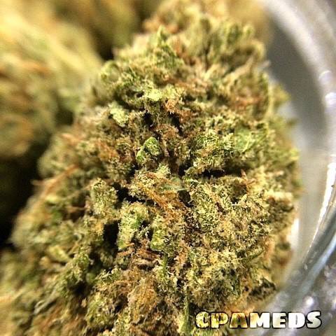 cpameds's tweet photo. $10/Gs UNTIL 1AM on strains like our Candy Kush!! Potent, tasty and on special! 206 Broadway #chualvista #mmj #420 https://t.co/Bf1qoZJpAQ