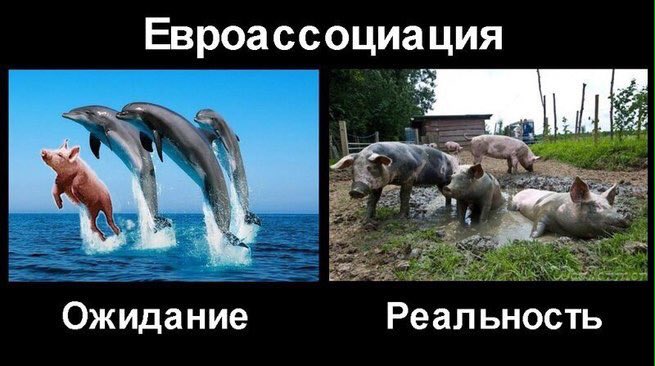 2 мечта и реальность. Демотиваторы ожидание и реальность. Украина ожидание и реальность. Хохлы ожидание и реальность. Армия Украины ожидание и реальность.