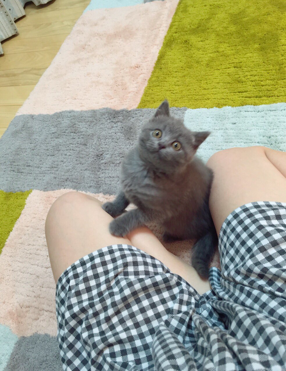 洲崎綾の7 6公式 この間のごえもん