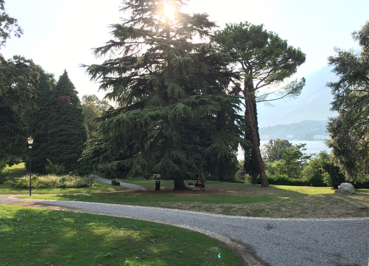 lakecomo_sun's tweet photo. Visit some of the public and private gardens for a place to relax and be peaceful. The views are a bonus. https://t.co/NKN6tx7jRr