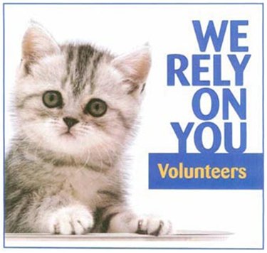 CPGlasgowBranch's tweet image. HELP! Volunteers needed, Home visitors, homing officer, fosterers. Details bit.ly/2b7iQSi#catspr… #glasgow