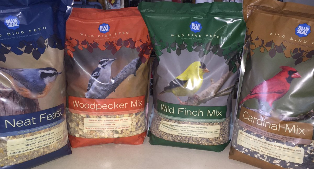 Attract a variety of birds to your feeder with Blue Seal seed mixes! #acton #eriksongrainmill #KentFeeds