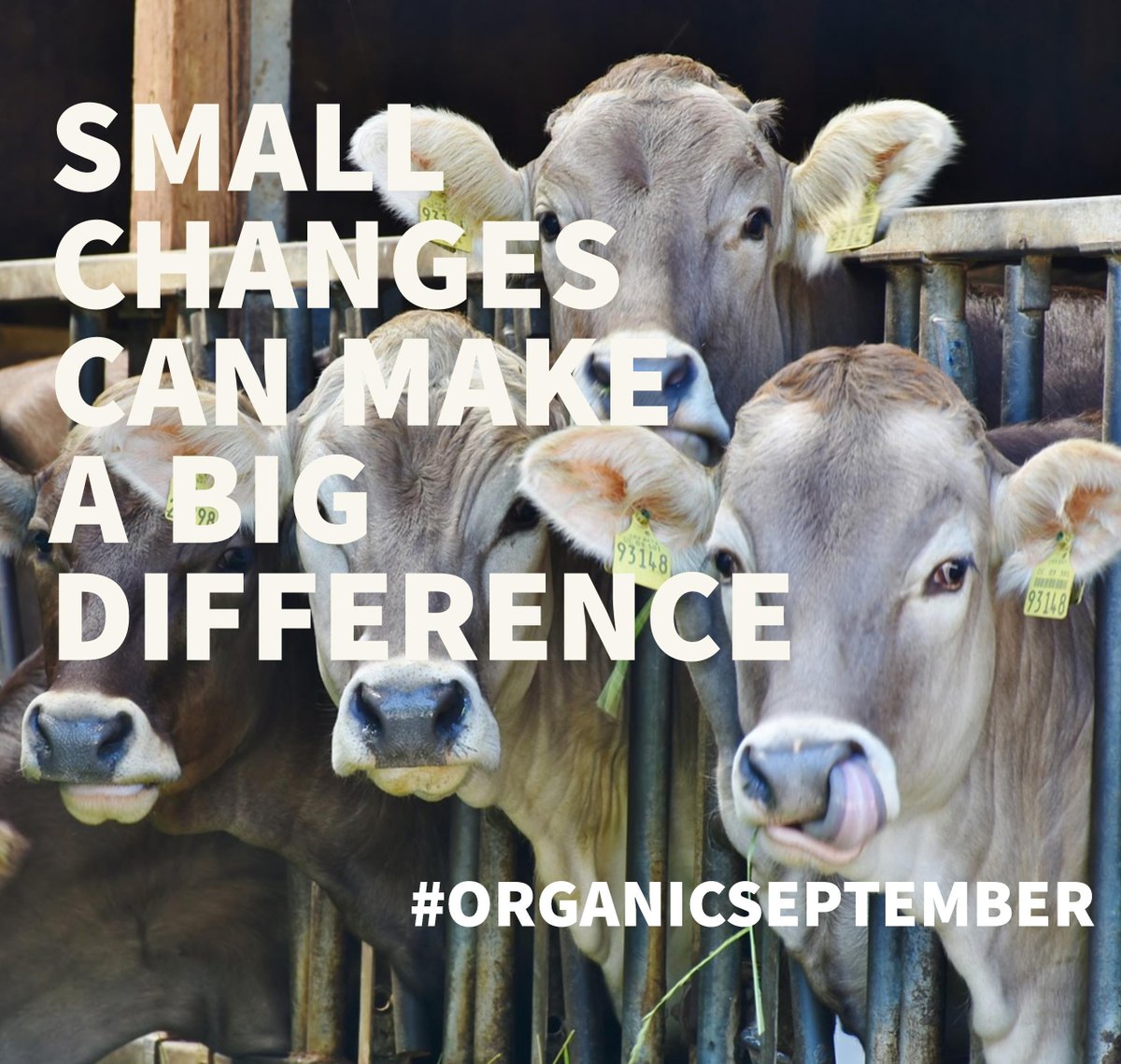 earthyfoods's tweet photo. Eat. Drink, Use. Choose. Organic. #OrganicSeptember #EarthyEdinburgh Small changes can make a BIG difference https://t.co/NRRhQR2qyG