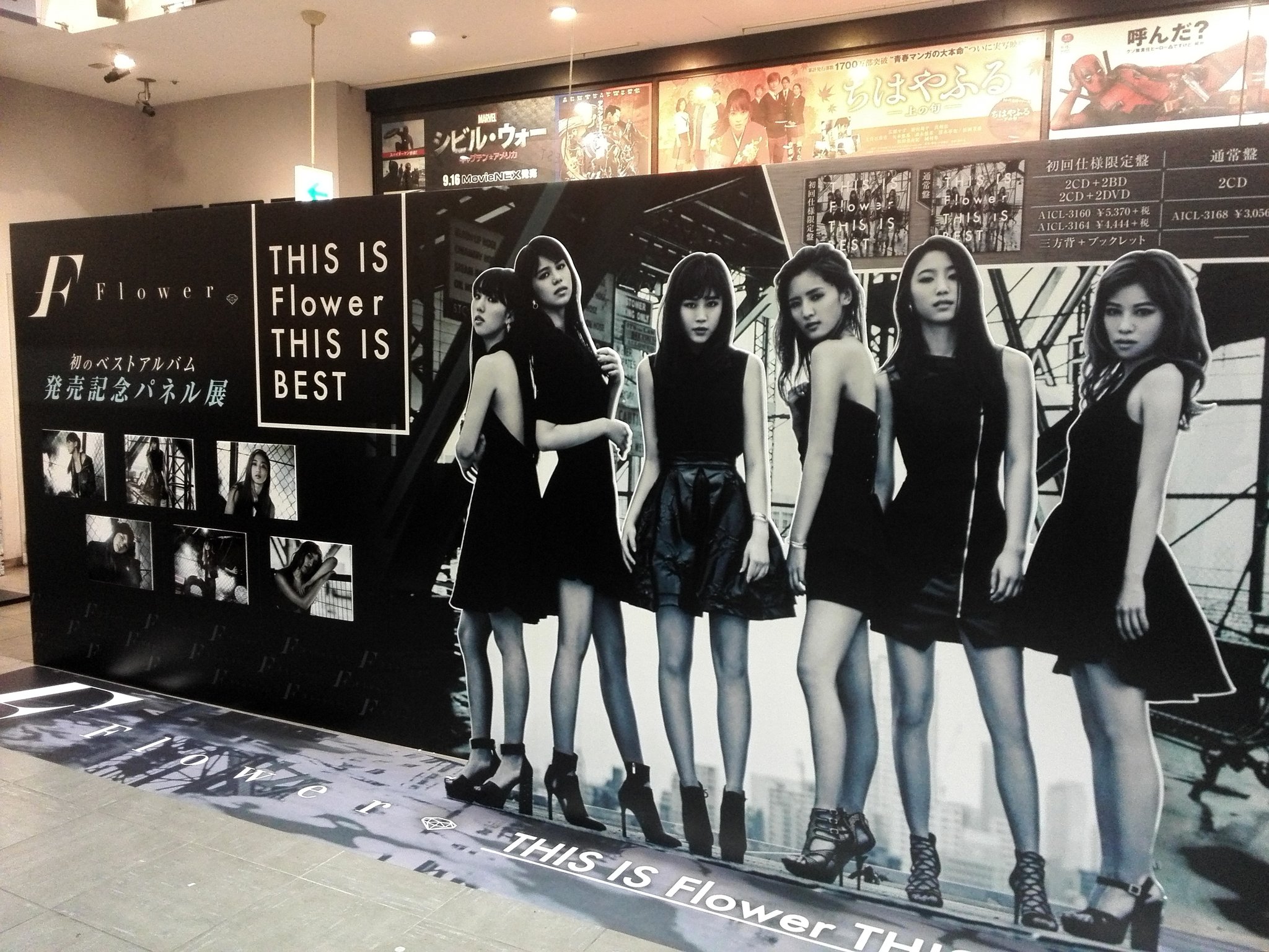 Shibuya Tsutaya Music Movie على تويتر Flower ベストアルバム発売を記念して当店ではパネル展も行っております 等身大のパネル展示にメッセージボードも設置してます みんなでflowerをお祝いしましょう Flower