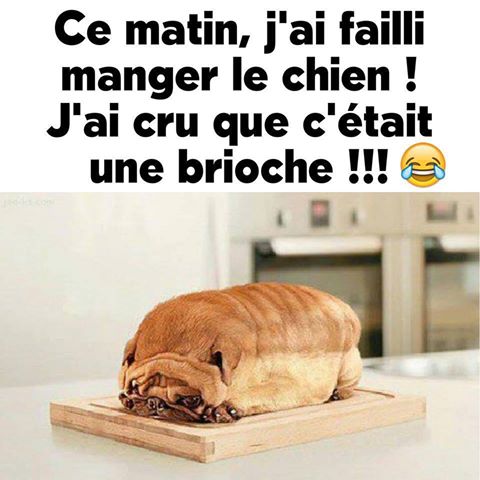 Ted_Cooks's tweet photo. Une bonne brioche @TiboInShape https://t.co/OyCGl5mTIq