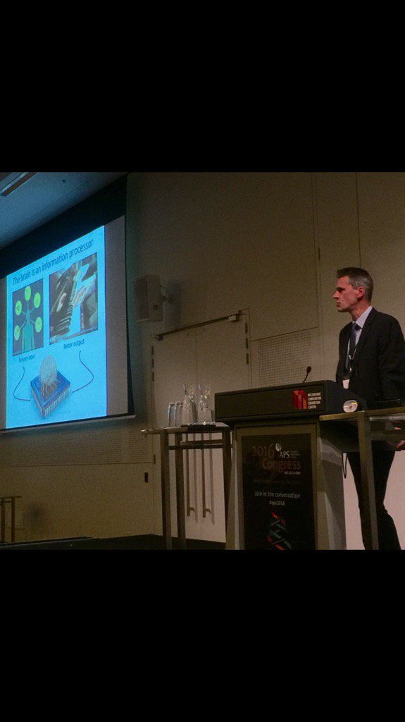 Anthony Cichello APS tweet media