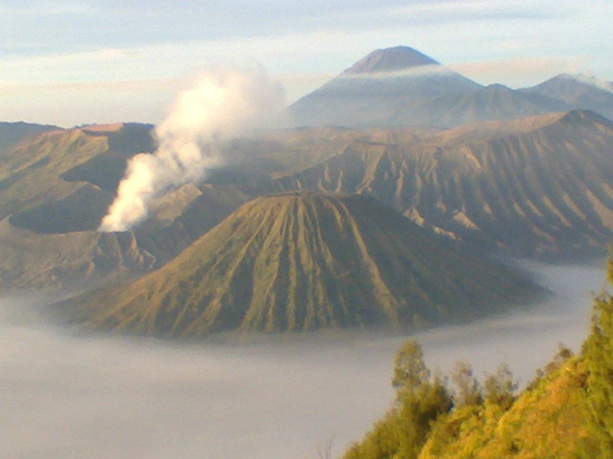 agencevoyagejpt's tweet photo. #travel #JogjaToBromo is a long #trip. #JavaParaTravel give you more alternatives to keep your travel comfort #Bromo https://t.co/wWRLj14Q5F