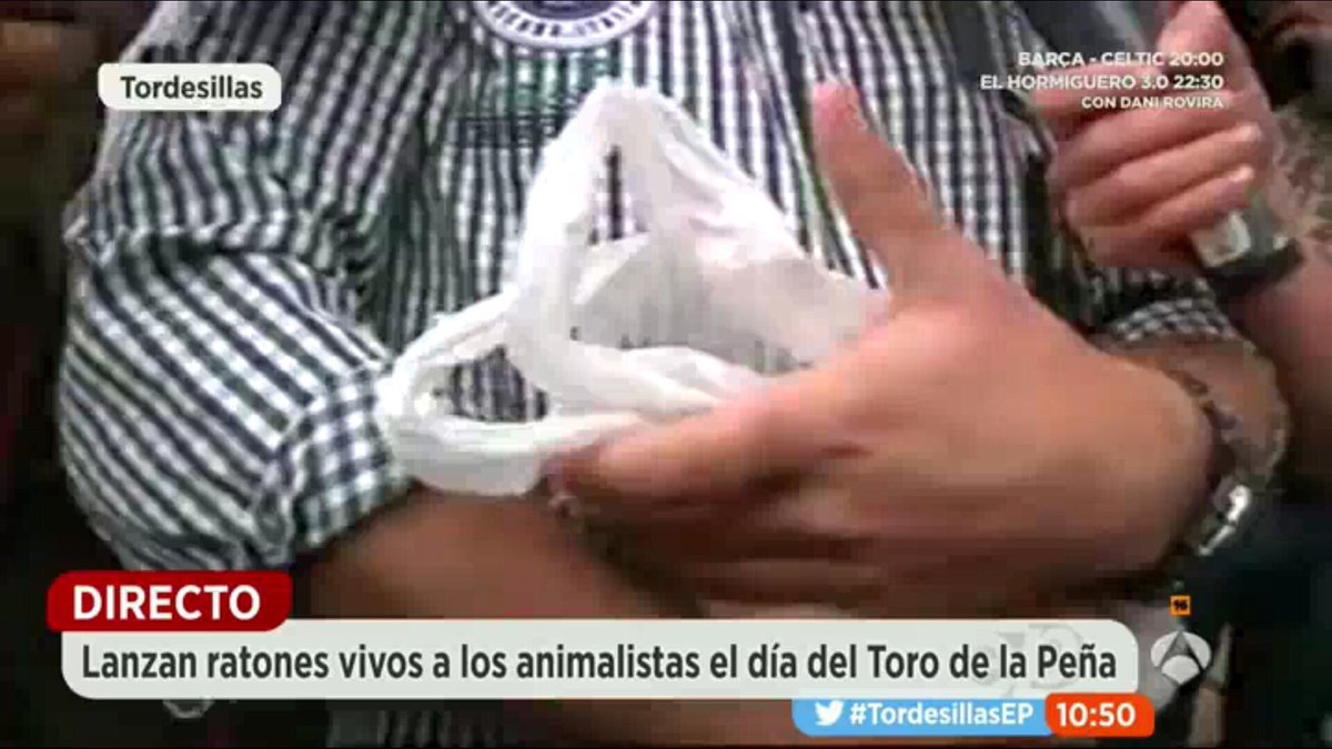 Cuando 1 ser humano es CRUEL, maltrata todo lo que hay a su alcance. gente lamentable. #MisionAbolicion #Tordesillas