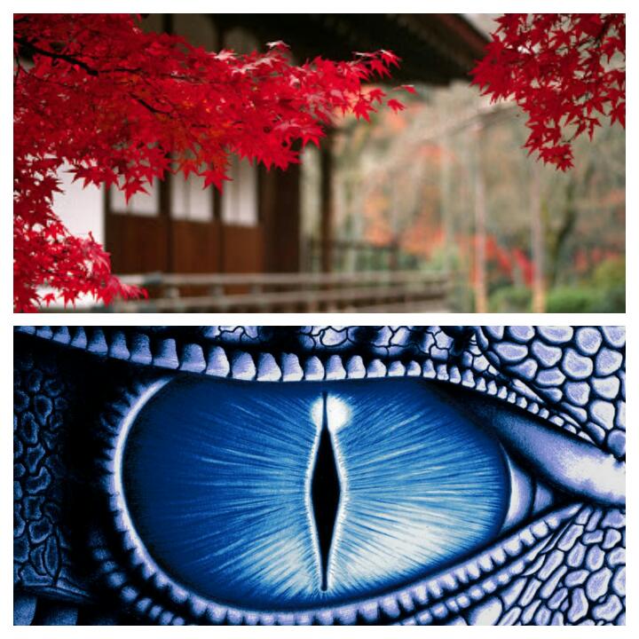 ConicaStudio's tweet photo. Sabes donde se oculta el #DragonAzul en un #JardinJapones?
Descubrelo en nuestra ponencia sobre #JardinesJaponeses https://t.co/dWPzu9S2RQ