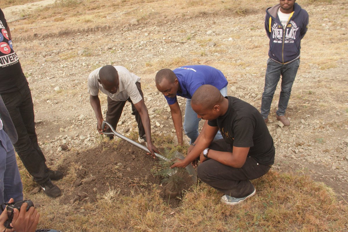 KINSolutions's tweet image. We encourage the Youth to plant trees as way of conserving our environment #NdataniPlotNaKilimo