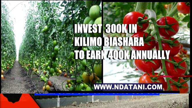 johnstonevusena's tweet image. #NdataniPlotNaKilimo All intelligent investing is value investing – acquiring more than you are paying for.
