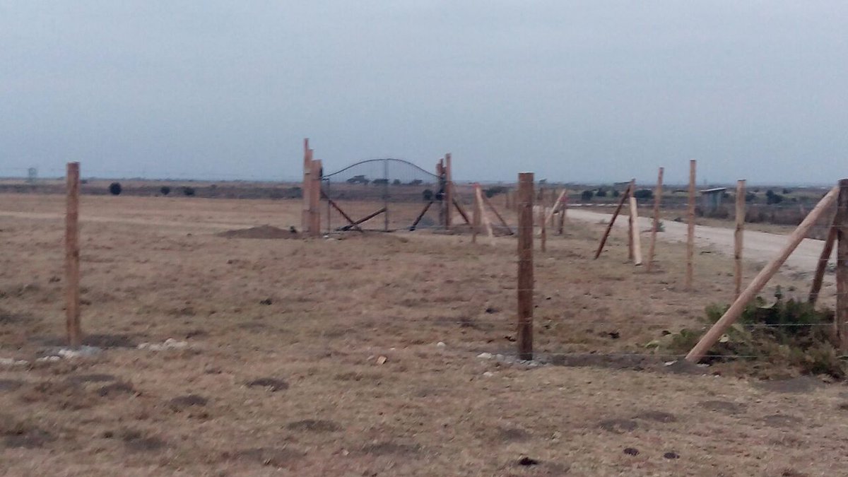 johnstonevusena's tweet image. Being a value investor means you look at the downside before looking at the upside.  #NdataniPlotNaKilimo