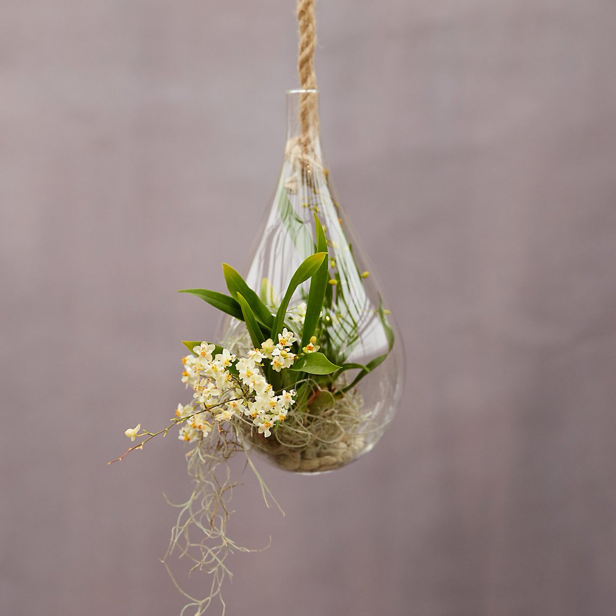 Raindrop Hanging Planter - gardensensations.xyz/raindrop-hangi… #garden #gardens #gardening
