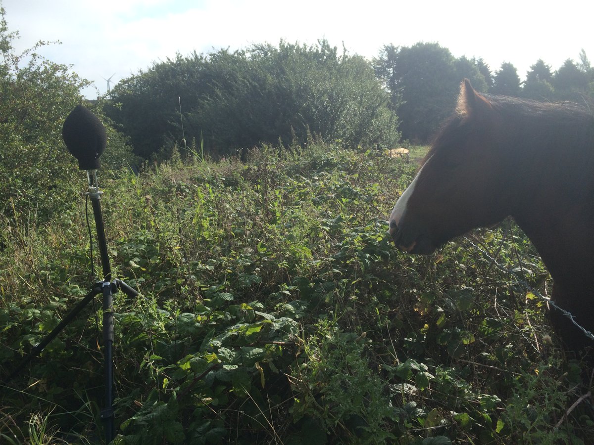 inacousticUK's tweet image. We had a local resident interested in our Sound Meter the other day #Acoustics #Noise #SoundMonitoring #Nature