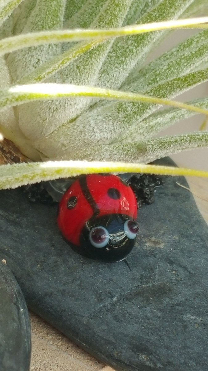 LoveTillys's tweet photo. @Glee_Birmingham Definitely get the feeling somebody's watching us...#airplants #glee2016 #atrium https://t.co/YGaEU353dj