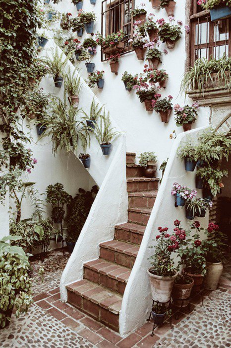 Want this in my garden. - gardensensations.xyz/want-this-in-m… #garden #gardens #gardening