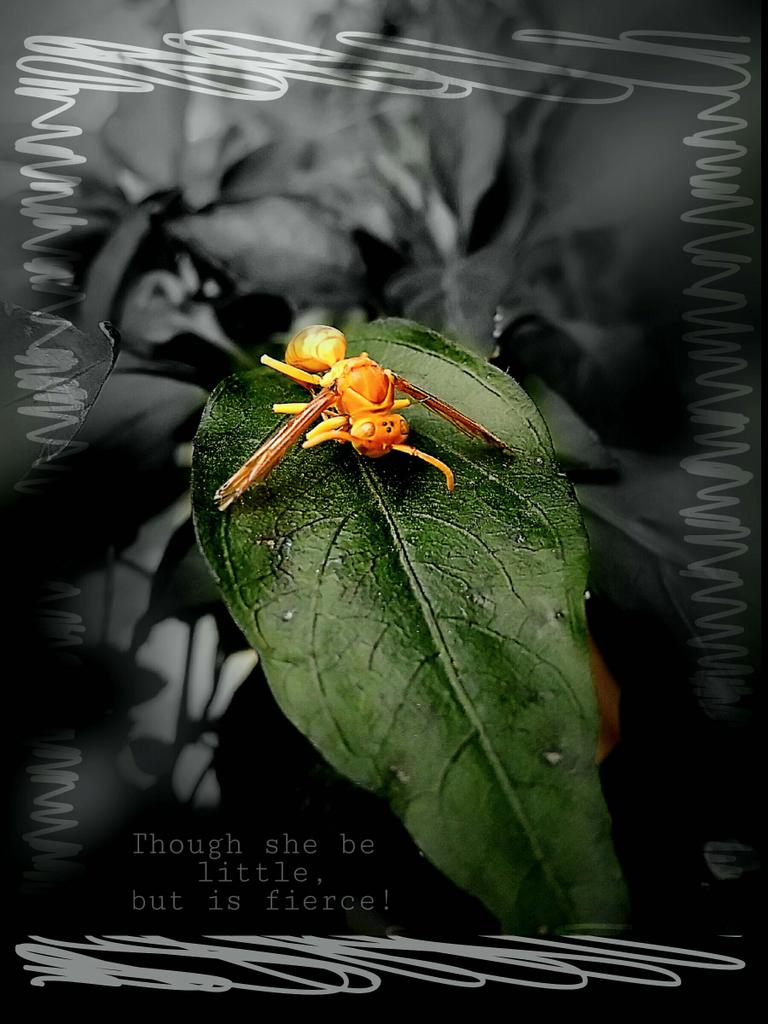 arshdeep29's tweet photo. Stay strong!!! Never Give Up #BeEncouraged #FierceUp #awesome #inspiration #beyourself #beyourownguru #Beehive https://t.co/u3F1qNWJRU