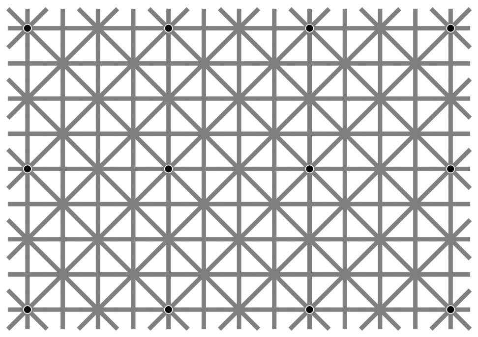 matciler's tweet photo. Burada 12 tane siyah nokta var ancak beynimiz hepsini aynı anda görmemize izin vermiyor. https://t.co/QmrwP06P2x
