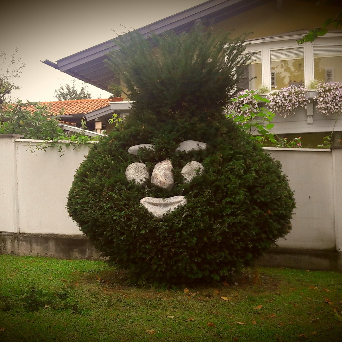 Petra Hauser Pecimaus Twitter