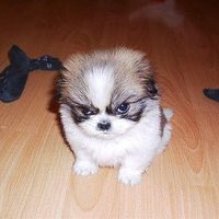 JohanssonEryk's tweet photo. @pompelur Bring it on baby, bring it on... https://t.co/FffRQdlvZF