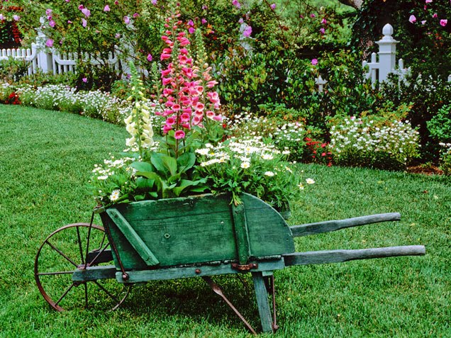 Beautiful flowers in Old Wheelbarrow parked in front of a ... - gardensensations.xyz/beautiful-flow… #garden #gardens #gardening