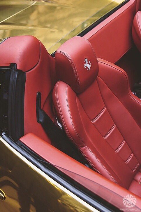 NextLevelLux's tweet image. Ferrari goals 🙊