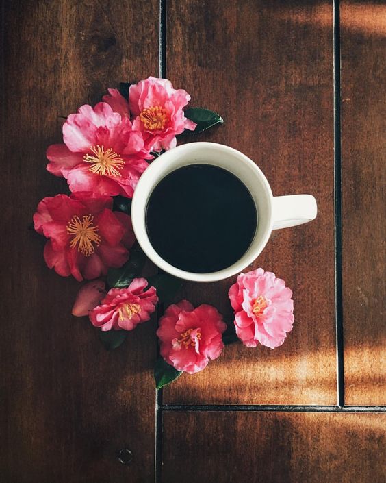 FreePeople's tweet photo. Must have  ☕😴 https://t.co/UL4qAuuFWc