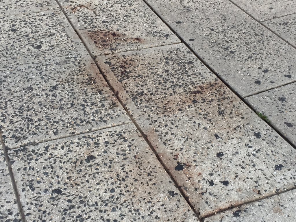 LisaLaRocca12's tweet photo. Blood stains the sidewalk in #Yonkers #GettySquare A man was fatally stabbed in broad daylight. @News12WC @News12HV https://t.co/WsVfJhFgts