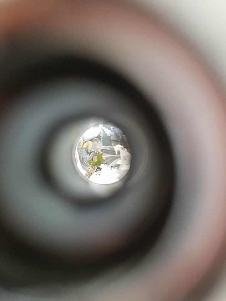 UswMa's tweet photo. Eye Spy!Come and see more of this piece of Alys Lynch on #16September @USW @TreforestCampus #6pm #MA #Degree #Show https://t.co/zMFl8moMTK